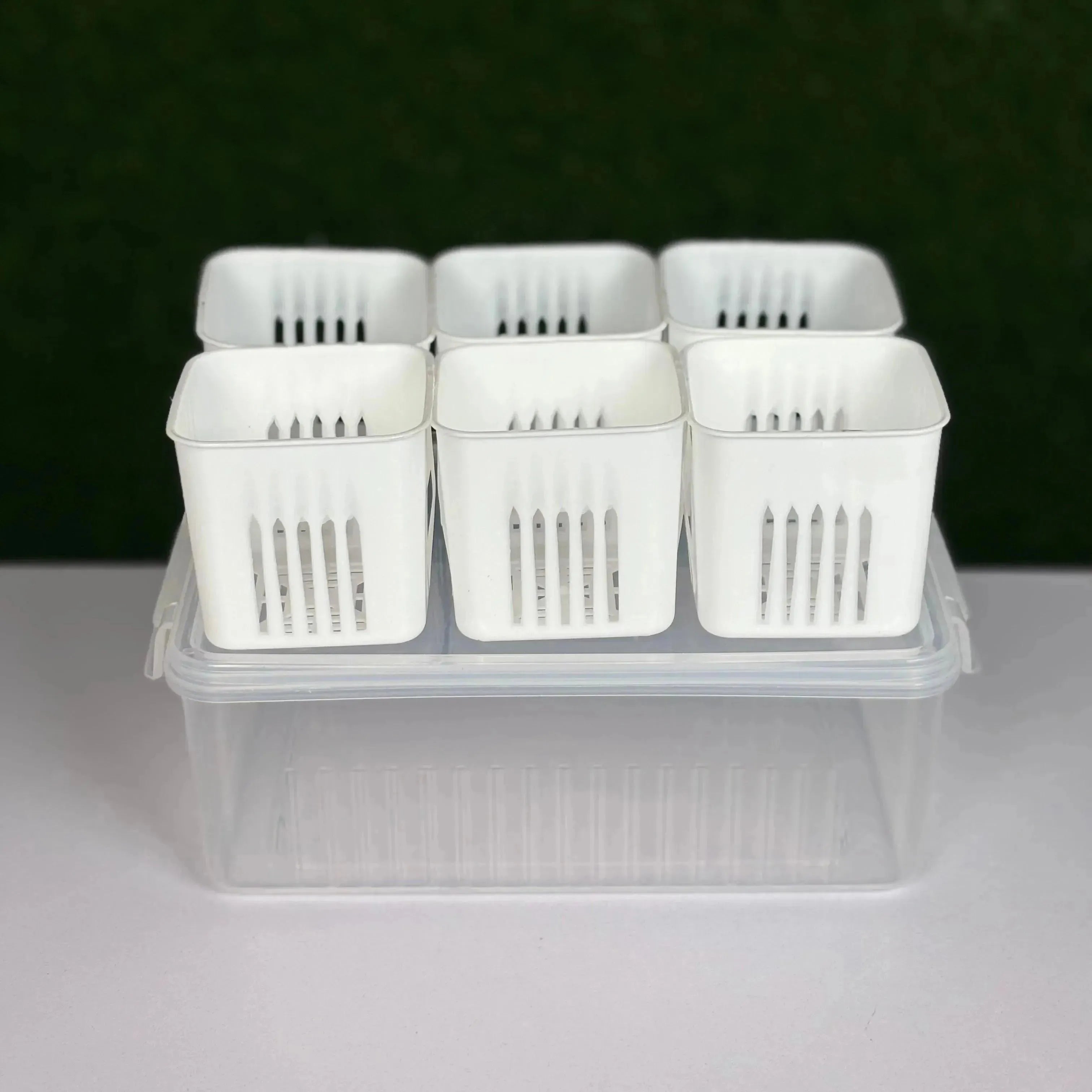 Refrigerator Storage Box 4/6 Grid Food Vegetable Fruit Storage Box Fridge Organizer