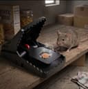 Mouse Killer Trap