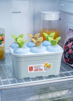 Ice Block Mould 6Pis – Mini Plant Pot Shape
