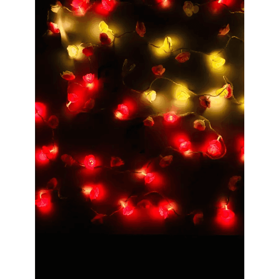 Little Rose String Light-  এক সেটে থাকবে ৮০ পিস লাইট, লম্বায় ১৮-২০ ফুট