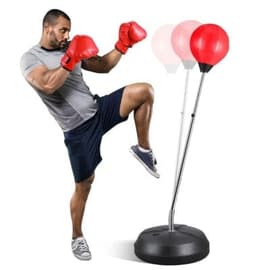 Adjustable Kids Punching Bag Set