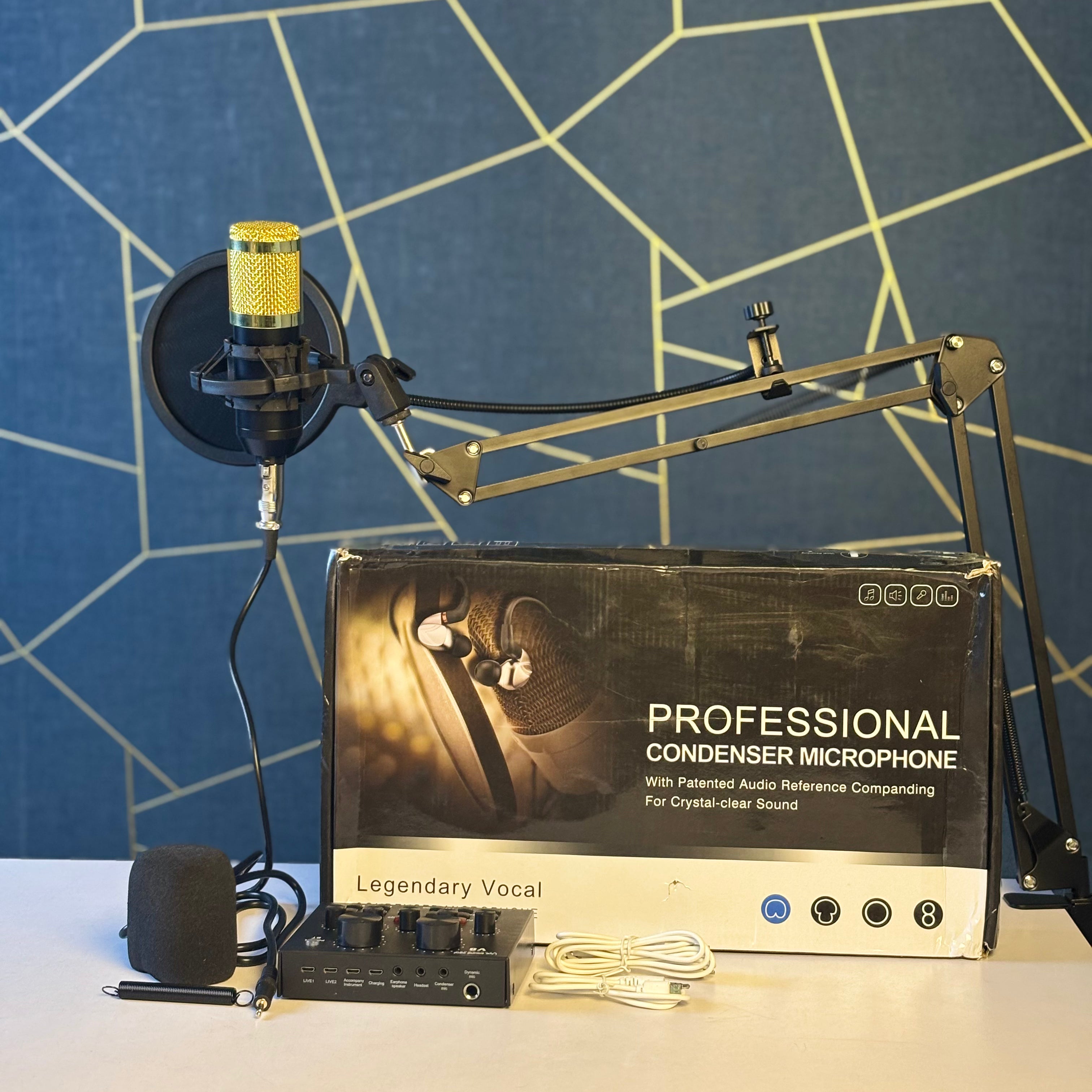 PROFESSIONAL CONDENSER MICROPHONE