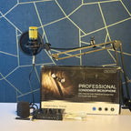 PROFESSIONAL CONDENSER MICROPHONE