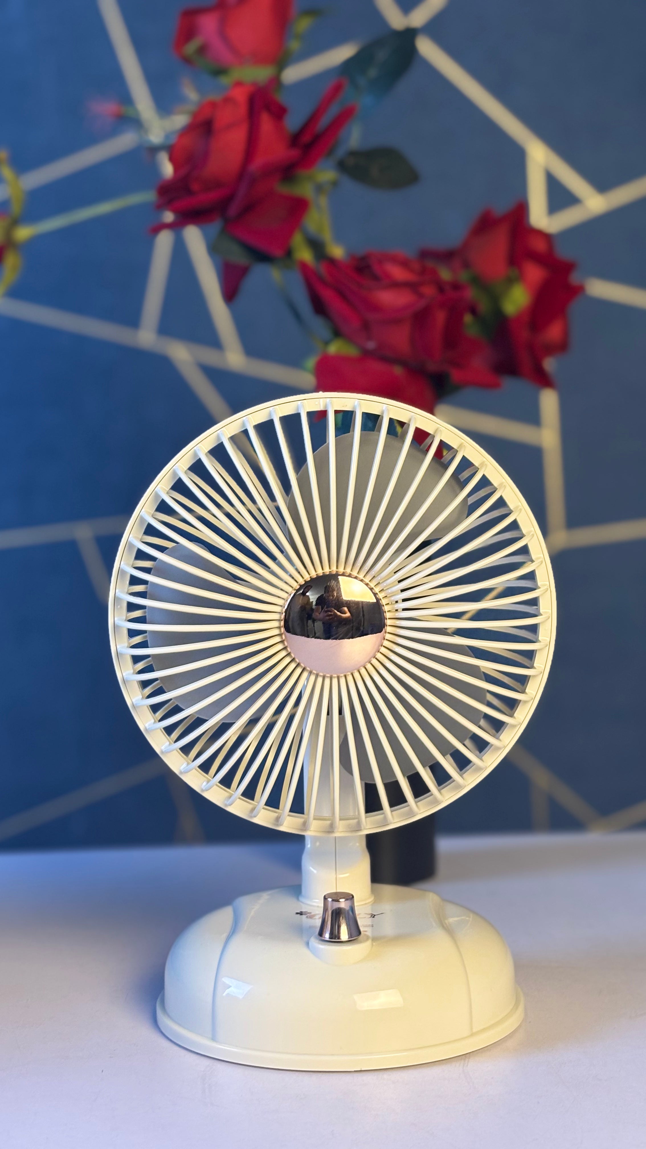 MINI DESKTOP FAN NL-F10