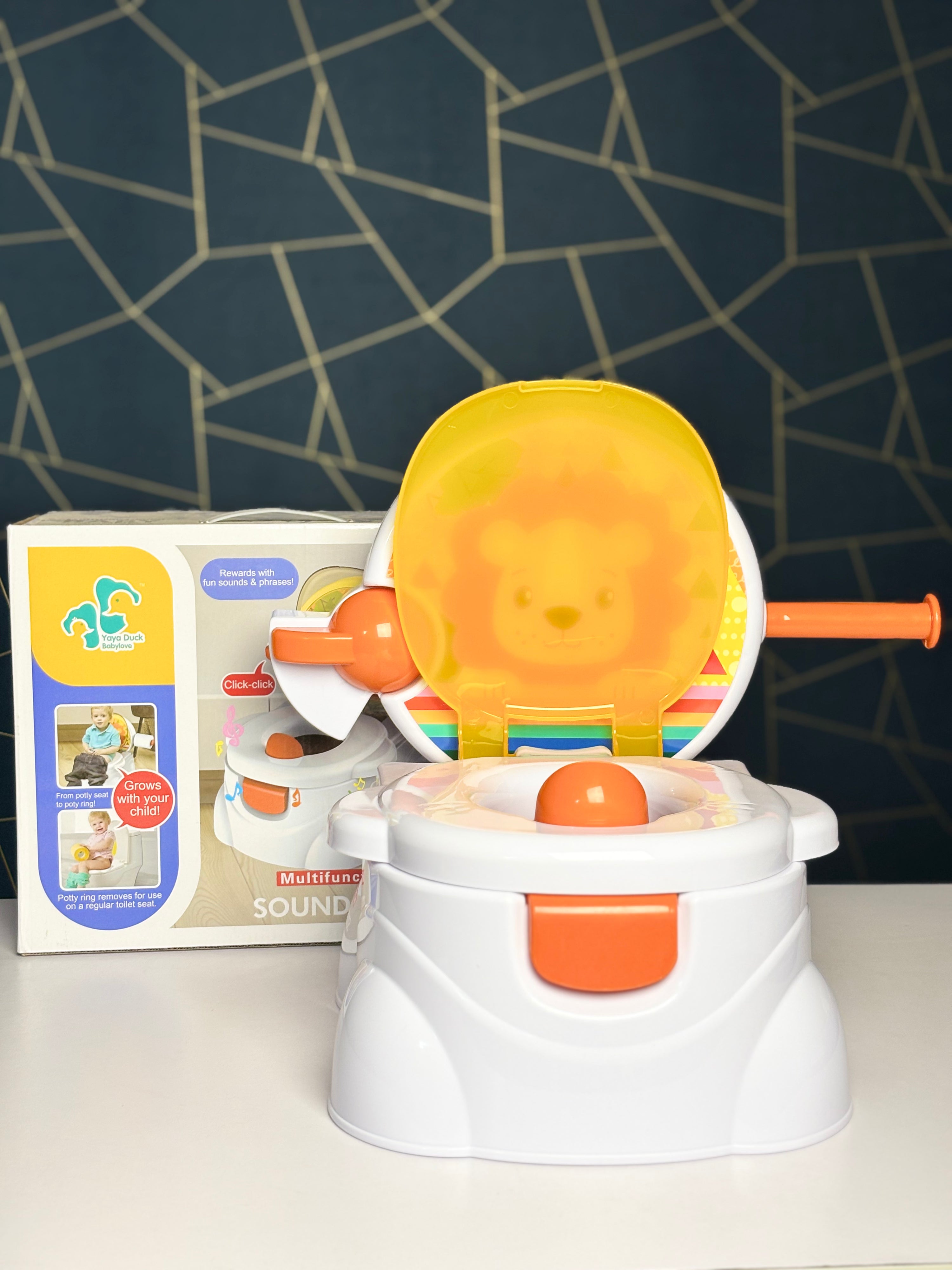 Multifunctional Baby’s Sound Potty Seat