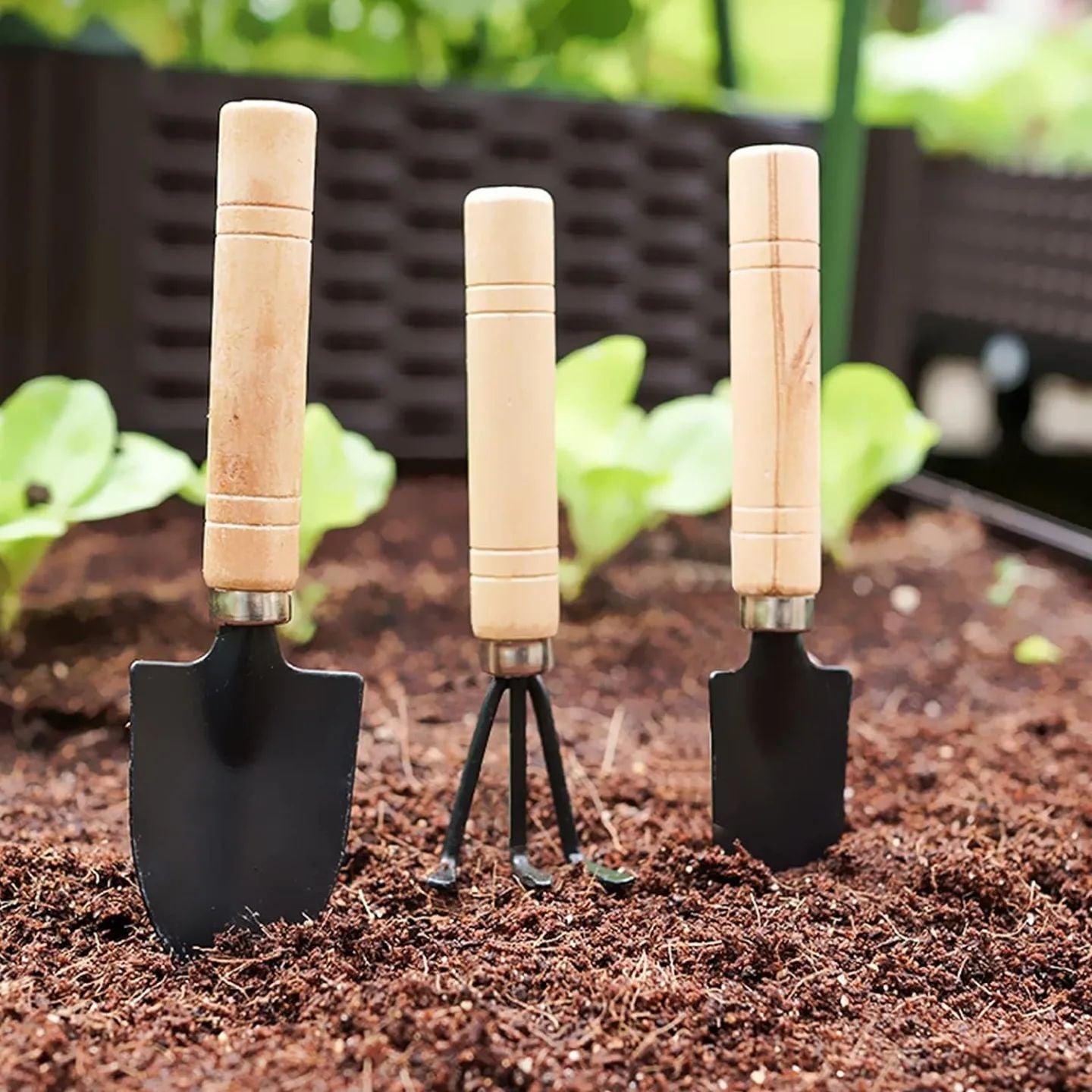 3 PCS/set Gardening Mini Garden Tools - HT Bazar