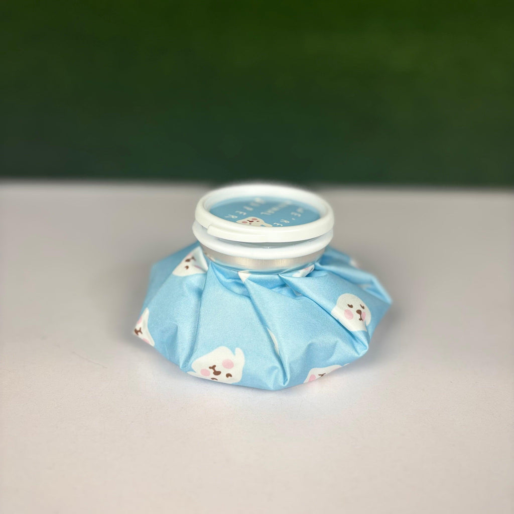 Cute Hot & Cold Water Bag 500ml