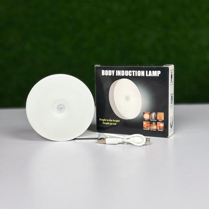 Body Induction Lamp