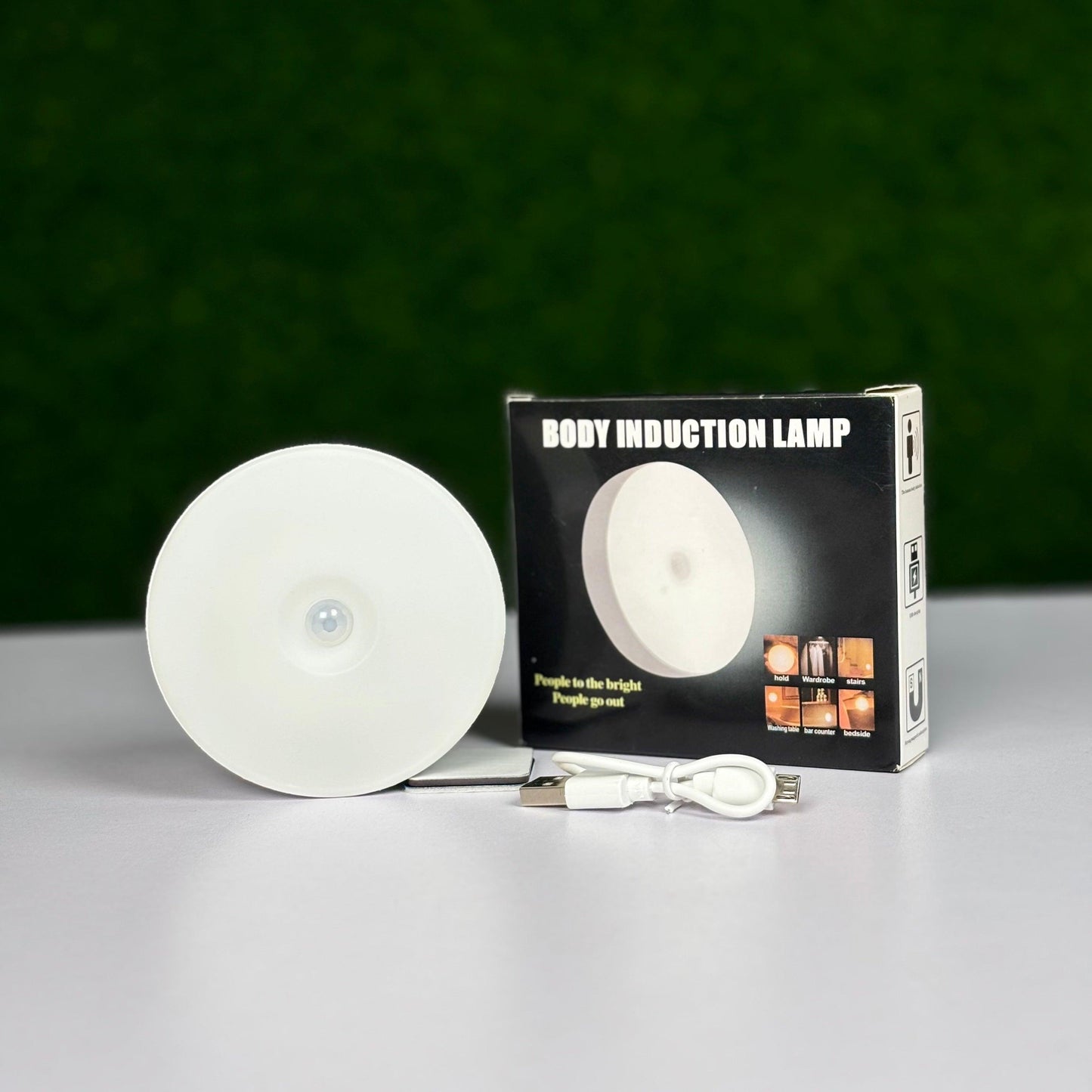 Body Induction Lamp