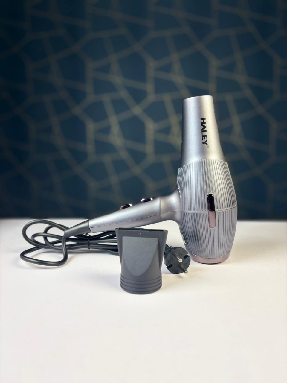Haley HY-4013 Hair Dryer