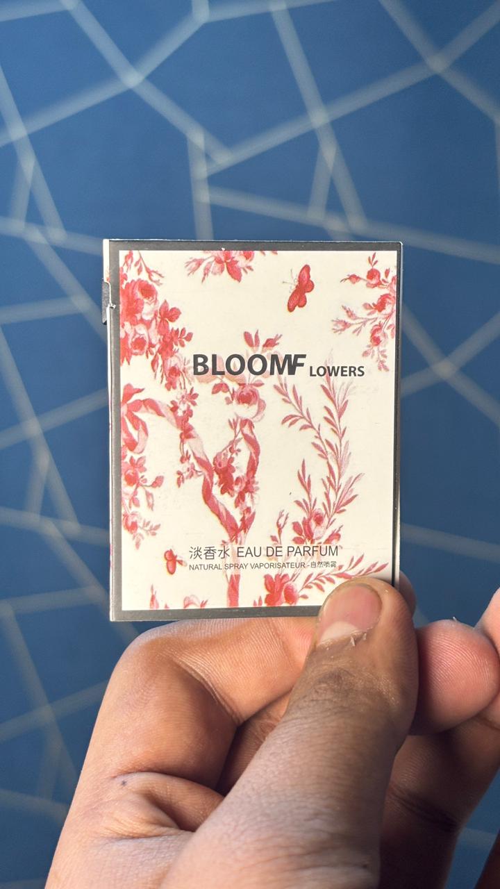 10 Pcs Fragrance Mix Perfume Collection