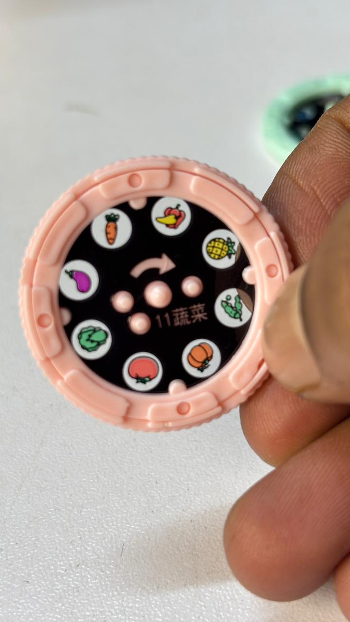 Mini Projector Torch Toy