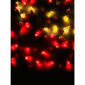Little Rose String Light - HT Bazar