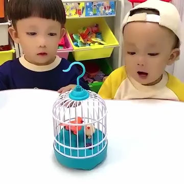 Talking Bird Toys Baby