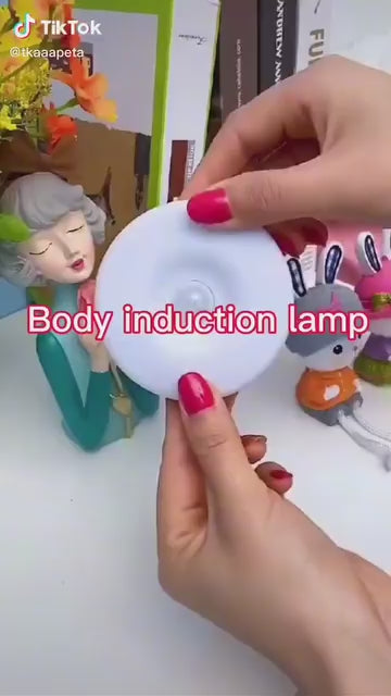 Body induction light