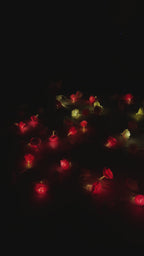 Little Rose String Light-  এক সেটে থাকবে ৮০ পিস লাইট, লম্বায় ১৮-২০ ফুট