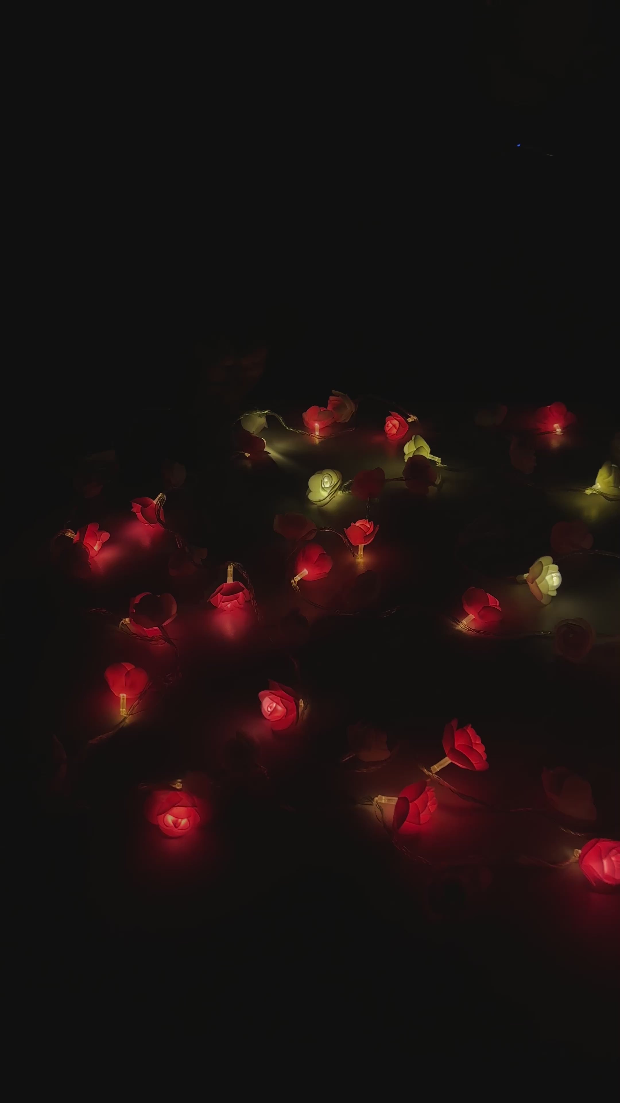 Little Rose String Light-  এক সেটে থাকবে ৮০ পিস লাইট, লম্বায় ১৮-২০ ফুট