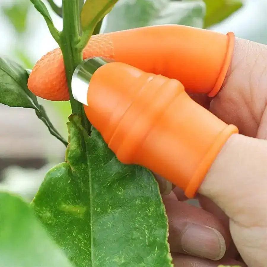 Vegetable cutter 5 pcs set - HT Bazar